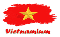 vietnamium.online